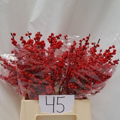 Ilex Verticillata 45cm