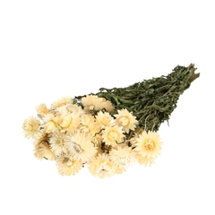 Dried Flowers Helichrysum 45cm 100g