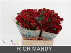 Rosa Sweetheart Mandy 40cm