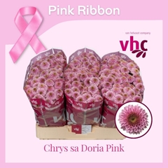 Chrysanth Santini Doria Pink 55cm 44gr.