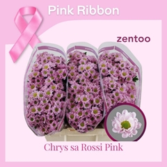 Chrysanth Santini Rossi Pink 55cm 44gr.