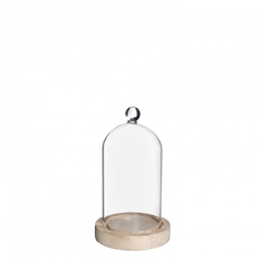 Glass Cloche Knob Wood D08/10*17cm