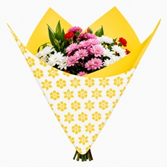 Cellophane Sheet 80*90cm Clear X50
