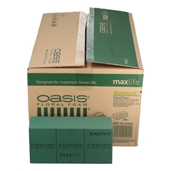 Oasis Brick Std X20 23*11*8cm