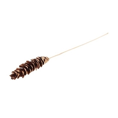 Christmas Sticks 50cm Strobus