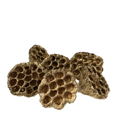 Christmas Deco Lotus Glitter D08/10cm X6