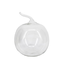 Glass Terrarium Apple +hole D19*20/24cm