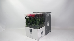 Rosa Preserved Stem Mix 50cm