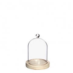Glass Cloche Knob Wood D10/12*15cm