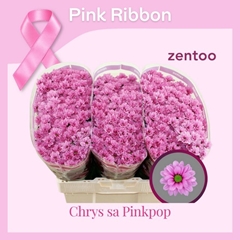 Chrysanht Spray Aaa Pinkpop 55cm 52gr.
