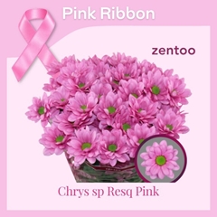 Chrysanht Spray ResQ Pink 70cm 95gr.