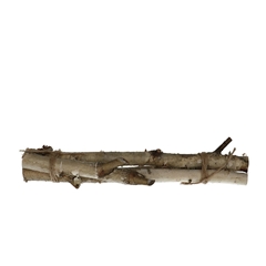 Dried Articles Birch Branch 30cm X3