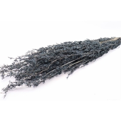 Dried Flowers Beta Grass 100cm
