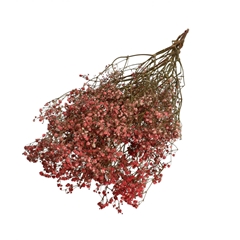 Dried Flowers Gyps 70cm 50g