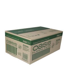 Oasis Brick Economy 20*10*8cm X20