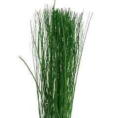 Dried Articles Yanagi Branch 250g 85cm