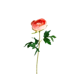 Artificial Flowers Paeonia 65cm