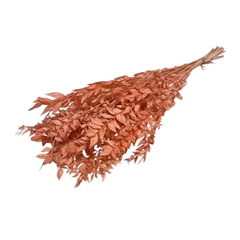 Dried Flowers Ruscus 65cm 110g