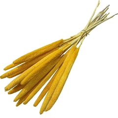 Dried Flowers Babala 70cm X15