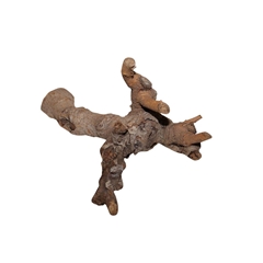 Dried Articles Kuwa Root 25-30cm