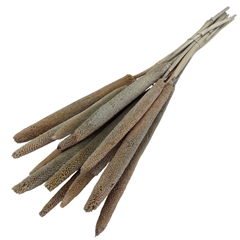 Dried Flowers Babala 70cm X15