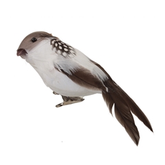 Spring Bird/clip D13cm X6