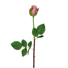 Artificial Flowers Rosa 46cm