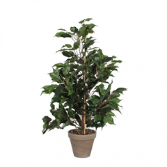 Artificial Plants Pot Ficus Exotica D13/40*65cm