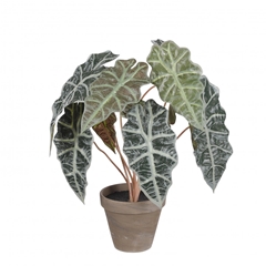 Artificial Plants Pot Alocasia D13/36*44cm