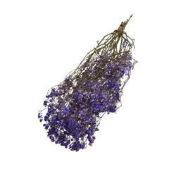 Dried Flowers Gyps 70cm 50g