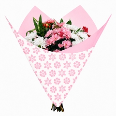 Cellophane Sheet 80*90cm Clear X50