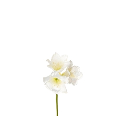 Artificial Flowers Amaryllis 65cm