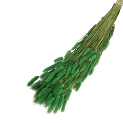 Dried Flowers Lagurus 65cm 100g