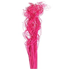Dried Articles Curly TingTing 70cm 200g