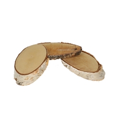 Dried Articles Woodslice Birch D20*11cm