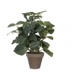 Artificial Plants Pot Pilea D11/25*35cm