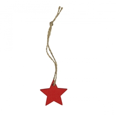 Christmas Deco Hanging Star D03.5cm X36