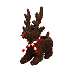 Christmas Natural Reindeer Plant.d8/23*30cm
