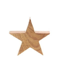 Christmas Deco Star 14.5*2.5*14cm