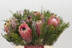 Bq Protea Wildflower 40cm