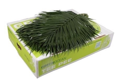Chamaedorea Chico Leaf Per Bunch 70cm