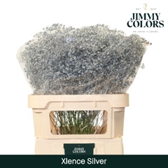 Gypsophila Painted Metallic Silver 80cm 30gr.
