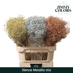Gypsophila Painted Metallic Mix 80cm 30gr.
