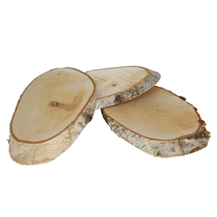 Dried Articles Woodslice Birch D34*20cm