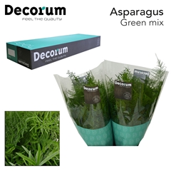 Asparagus Mix 45cm