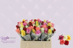 Rosa Mixed 35cm