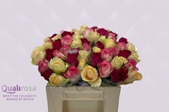 Rosa Mixed 35cm
