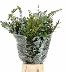 Eucalyptus Mix Per Bunch 70cm 200gr.