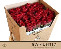 Rosa Red Naomi! 70cm
