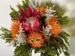 Protea Per Bunch 40cm